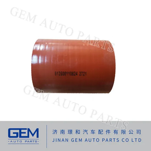 Lgmg HOWO Truck Spare Parts Weichai Wd615 Wd10 Diesel Engine Parts 612600110824 Turbocharger Hose