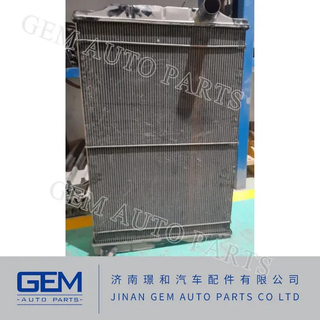 85613010010 Radiator Water Cooler Tonly 855 875 885 Lgmg Mt86h Cmt96 Sany Skt80 Skt90s Dump Truck Mining Truck Spare Parts
