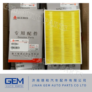 Filter Element 4190001098575/Ws33002550192 for Mining Truck Lgmg Mt86 Tonly Sany Weichai Engine Spare Parts