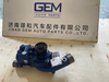 Original Genuine Water Pump 160201000004A for Weichai Truck