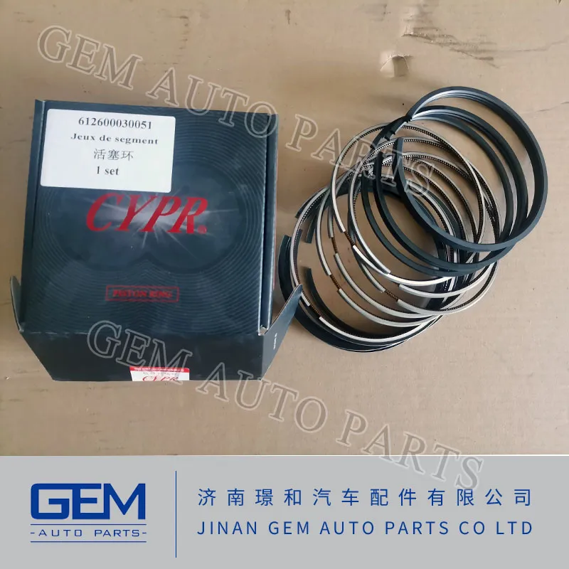 Weichai Yuchai Engine Parts Sinotruk HOWO Engine Parts Piston Ring 612600030051 for Shacman Camc FAW Foton Hongyan North Benz Dump Truck Parts