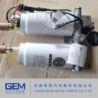 Electric Fuel Supply Pump Assy for Lgmg Sany Mining Truck 