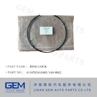 4110702411081 Disc Thrust8e-8300for Lgmg Tonly Shacman Liugong Longking Shantui Construction Machine Weichai Engine Fast FC Transmission Gearbox Spare Parts
