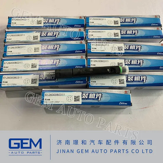 Spare Parts Fuel Injector of HOWO Weichai Diesel Engine Truck