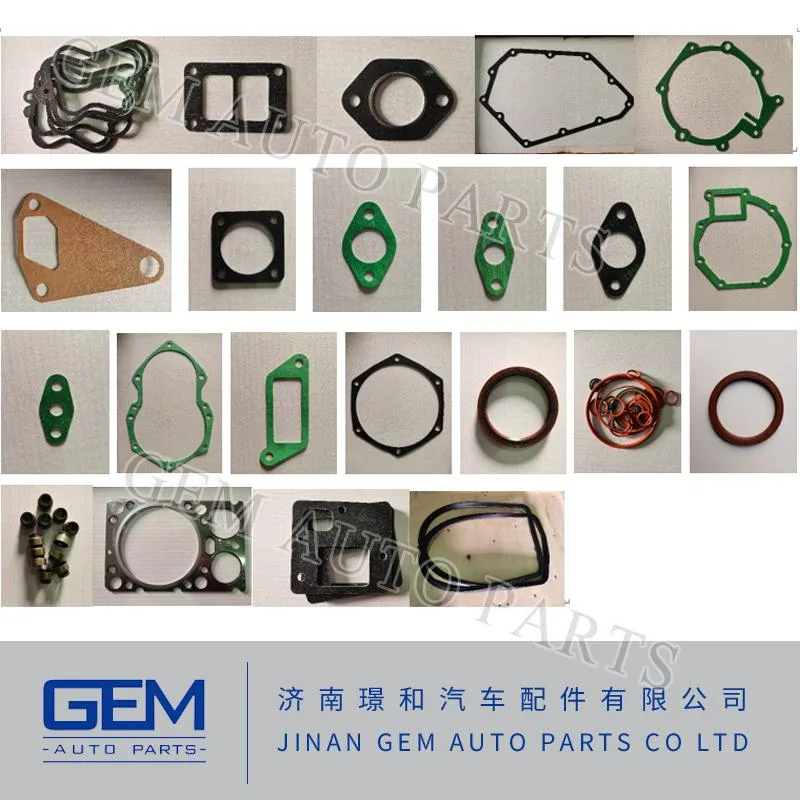 Engine Repair Kit for Sinotruk HOWO FAW Shacman Truck Spare Parts