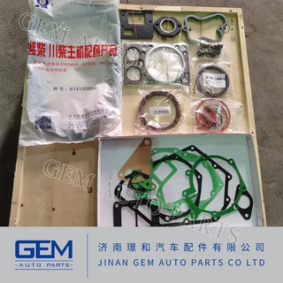 Engine Repair Kit for Sinotruk HOWO FAW Shacman Truck Spare Parts