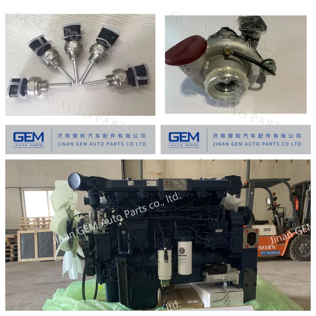 Heavy Dump Truck Spare Parts Oil Filter Element 160604020017 for Weichai Engine Lgmg Sany Tonly Fast Truck off Road Mining Truck Mining Equipment Spare Parts