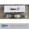 Heavy Dunp Truck Parts 4110001595016 Fuel Injector for Lgmg Mt50 Mt60 Mt86 Mt95h Cmt96 Mt105 off Road Mining Truck Tipper Truck Spare Parts