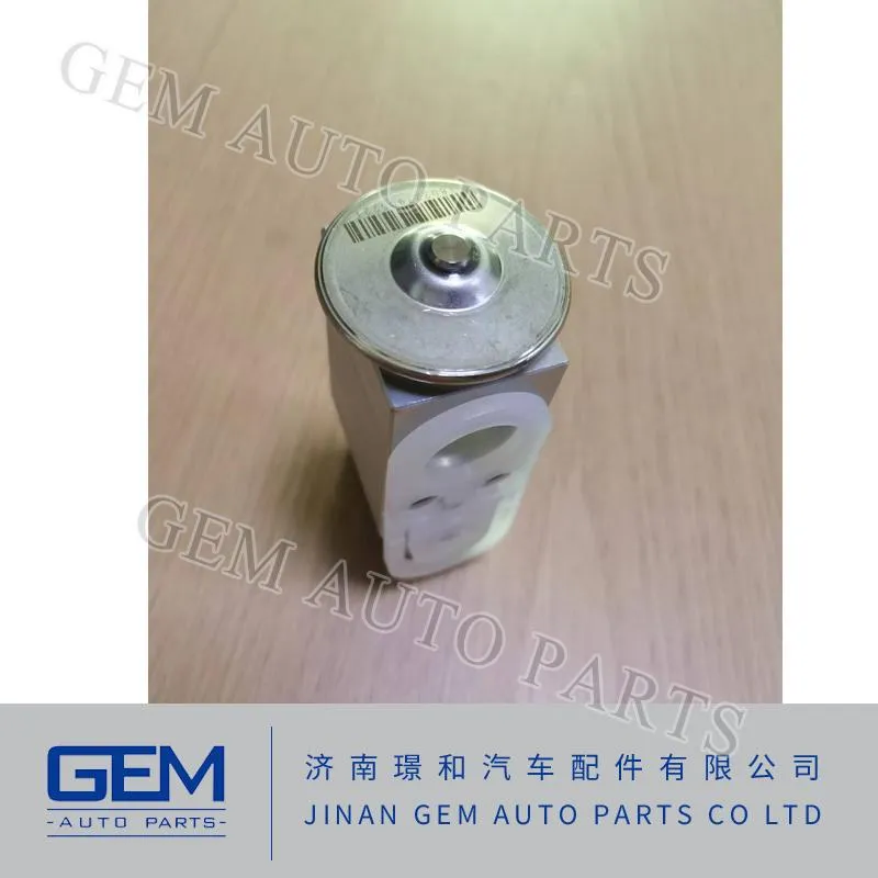 Air Conditioning Expansion Valve for Lgmg Truck Sinotruck Tonly Mining Spare Parts