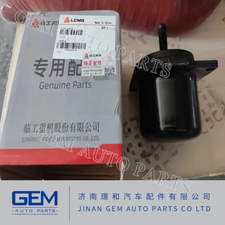Shock Absorber 4190708698 for Lgmg Mt86 Cmt96 Tonly 875 885 Sany Skt80 Skt90s Dump Truck Tipper Truck
