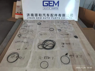 Seal Repair Kit for Sinotruk HOWO FAW Shacman Truck Spare Parts