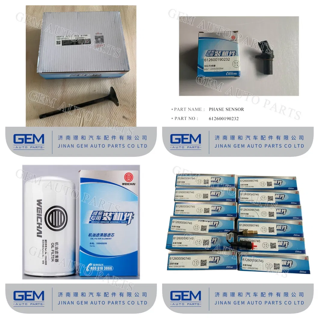 Heavy Dump Truck Spare Parts Oil Filter Element 160604020017 for Weichai Engine Lgmg Sany Tonly Fast Truck off Road Mining Truck Mining Equipment Spare Parts