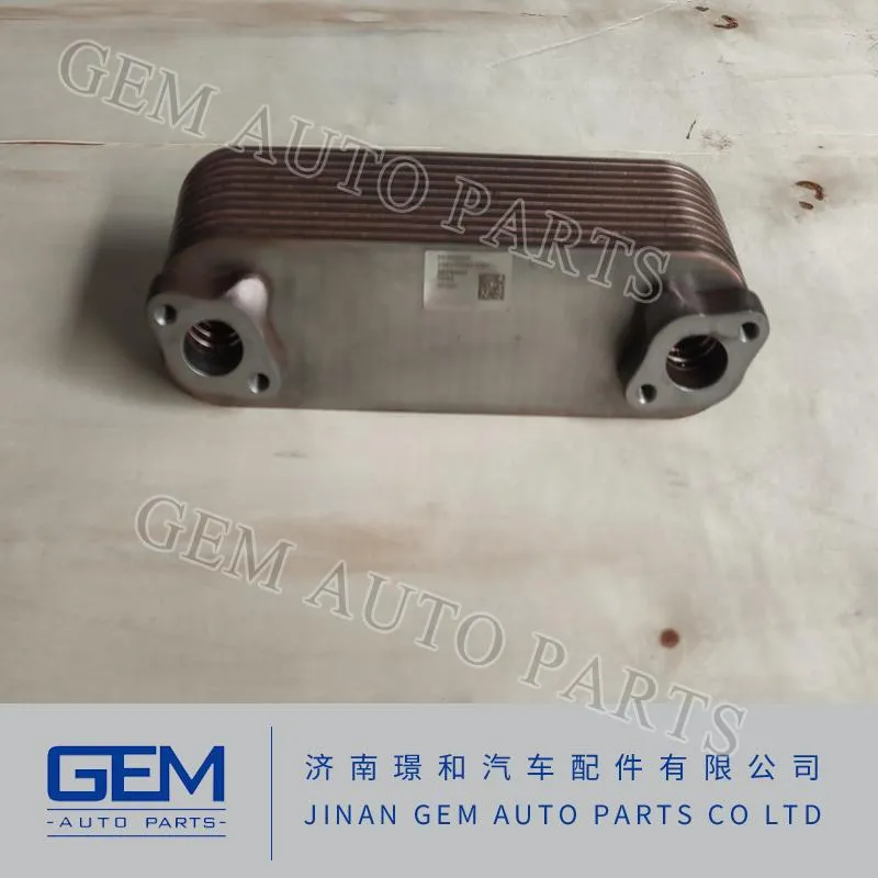 Original Truck Parts Lgmg Sinoruk Truck Parts Oil Cooler 200V05601-0167