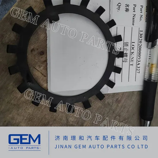 Lock Nut for Lgmg Mt86h Cmt96 Sany Skt80 Skt90s Mining Truck Dump