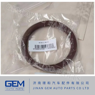 06562890349 Packing Ring for Lgmg Mt86h Cmt96 Sany Skt80 Skt90s Tonly 855 875 885 Dump Truck Mining Truck Spare Parts