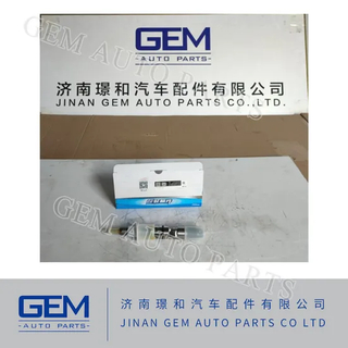 169900000134A Injector for Tonly 855 875 885 Lgmg Mt86h Cmt96 Sany Skt80 Skt90s Mining Truck Dump Truck Spare Parts