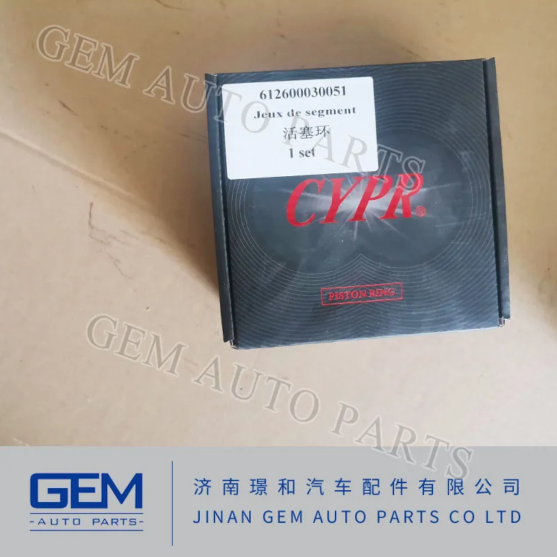 Weichai Yuchai Engine Parts Sinotruk HOWO Engine Parts Piston Ring 612600030051 for Shacman Camc FAW Foton Hongyan North Benz Dump Truck Parts