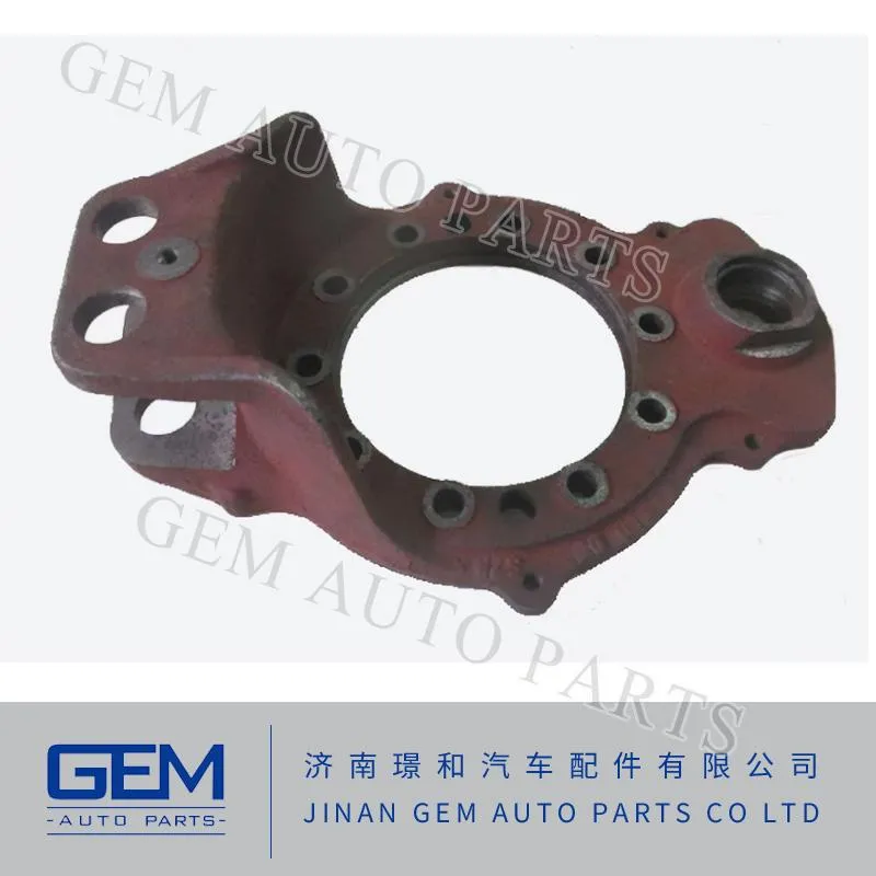 Back Plate for Lgmg Tonly Liugong FAW Sinotruc Shacman Truck Spare Parts