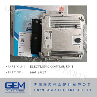 Electronic Control Unit 1007169867 for Lgmg Tonly Shacman Liugong Longking Shantui Construction Machine Weichai Engine Spare Part