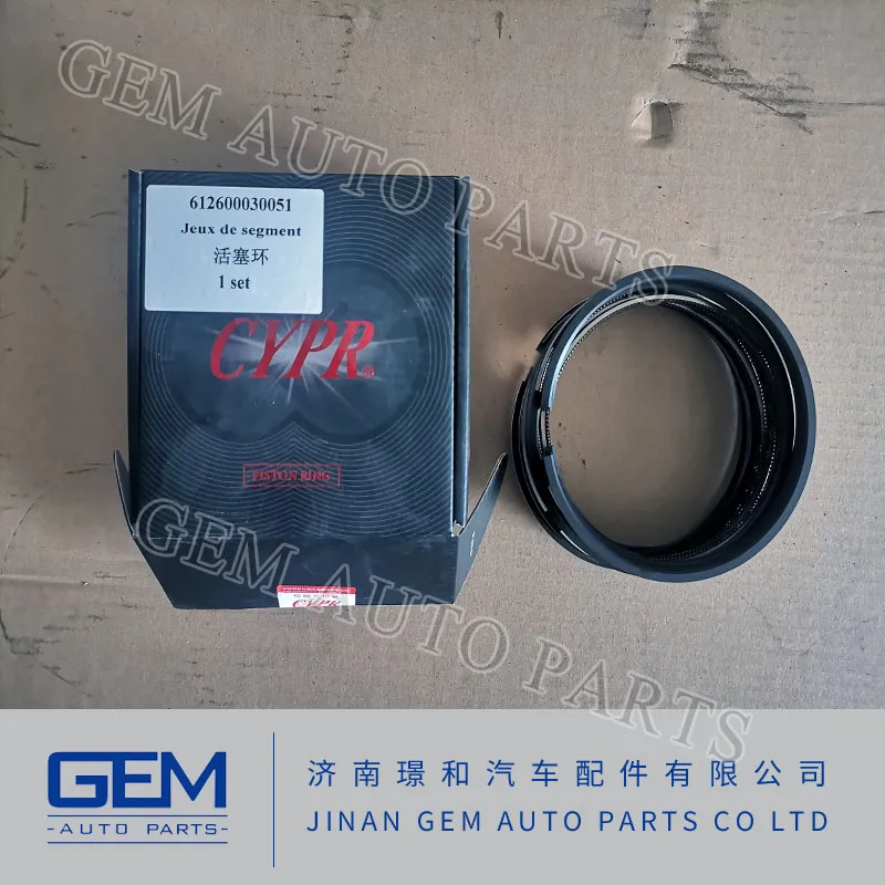 Weichai Yuchai Engine Parts Sinotruk HOWO Engine Parts Piston Ring 612600030051 for Shacman Camc FAW Foton Hongyan North Benz Dump Truck Parts
