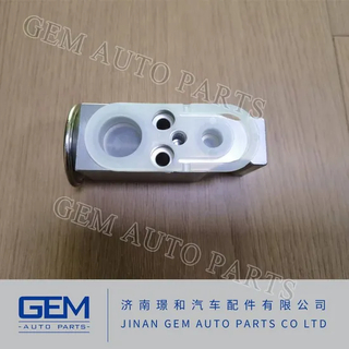 Air Conditioning Expansion Valve for Lgmg Truck Sinotruck Tonly Mining Spare Parts