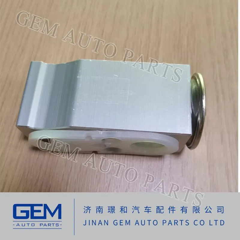 Air Conditioning Expansion Valve for Lgmg Truck Sinotruck Tonly Mining Spare Parts