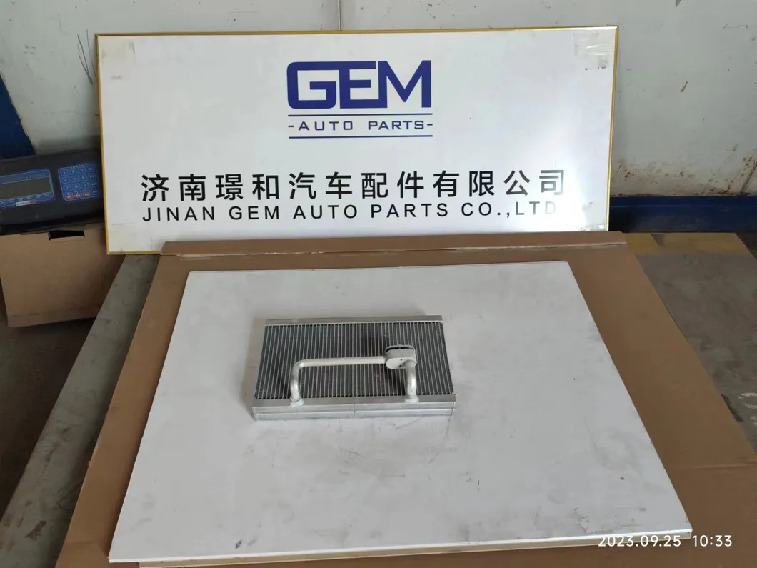 Refrigerator Assembly 4190002308013 for Lgmg Mining Parts Truck Spare Parts